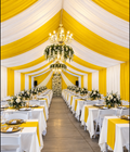 Cortinas Para Carpas | 12 yardas 3 costuras | Yellow