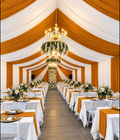 Cortinas Para Carpas | 12 yardas 3 costuras | Mustard