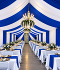 Cortinas Para Carpas | 12 yardas 3 costuras | Royal