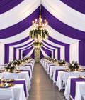 Cortinas Para Carpas | 12 yardas 5 costuras | Purple